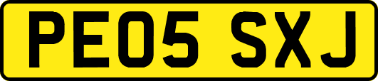 PE05SXJ