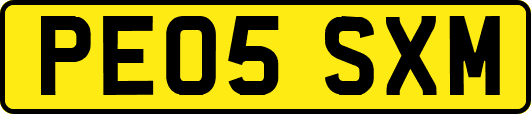 PE05SXM