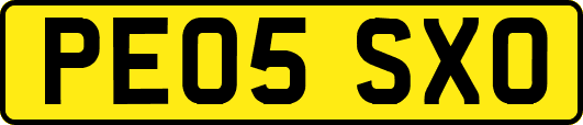 PE05SXO
