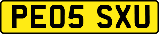PE05SXU