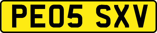 PE05SXV