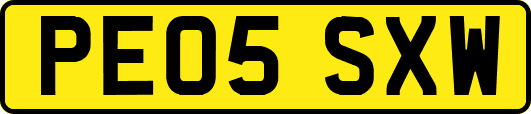 PE05SXW