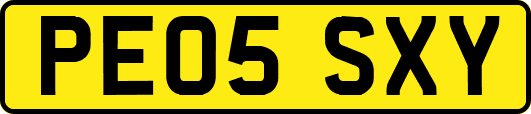 PE05SXY