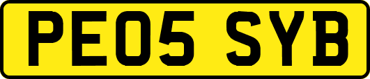 PE05SYB