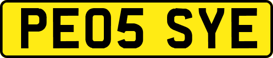PE05SYE