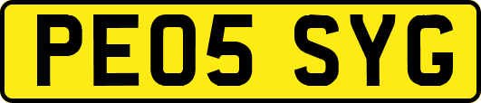 PE05SYG