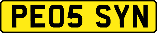 PE05SYN