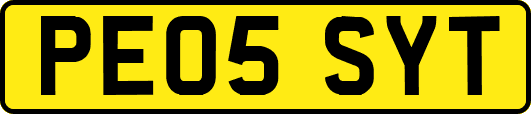 PE05SYT