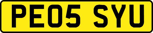 PE05SYU