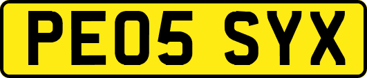 PE05SYX