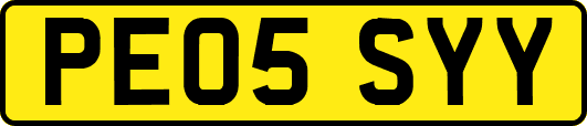 PE05SYY