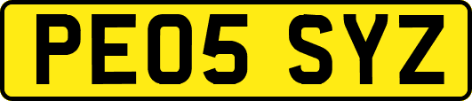 PE05SYZ