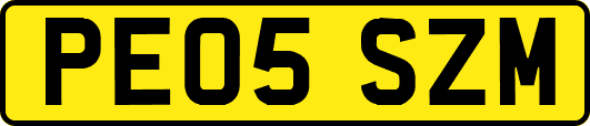 PE05SZM