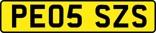 PE05SZS
