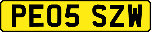 PE05SZW