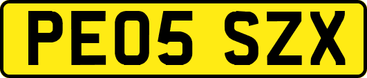 PE05SZX