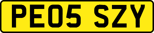 PE05SZY