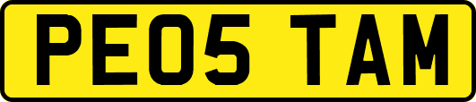 PE05TAM