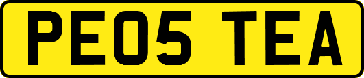 PE05TEA