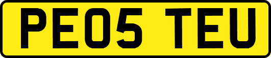 PE05TEU