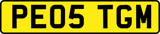 PE05TGM