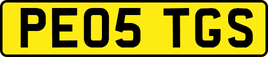 PE05TGS