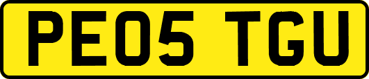 PE05TGU