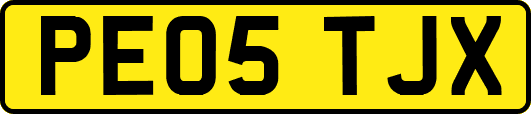 PE05TJX