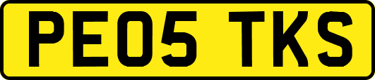 PE05TKS
