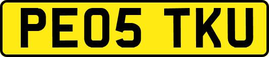 PE05TKU