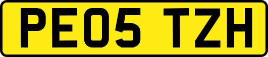 PE05TZH