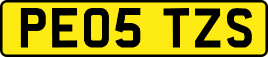 PE05TZS
