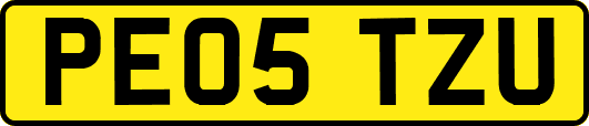 PE05TZU