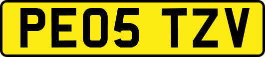 PE05TZV