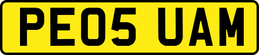 PE05UAM