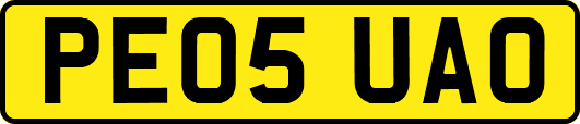 PE05UAO