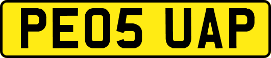 PE05UAP