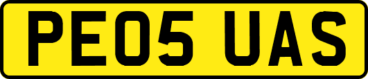 PE05UAS