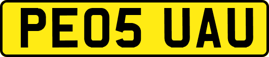 PE05UAU