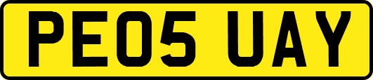 PE05UAY