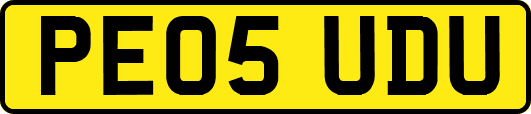 PE05UDU