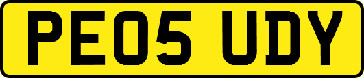 PE05UDY