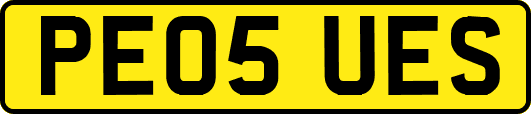 PE05UES