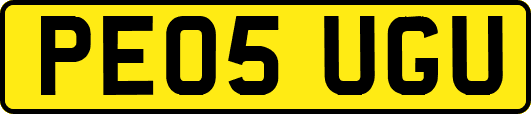 PE05UGU