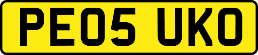 PE05UKO