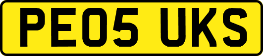 PE05UKS
