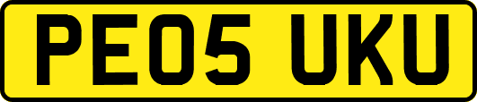 PE05UKU