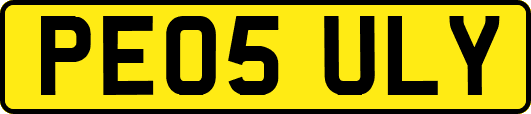PE05ULY