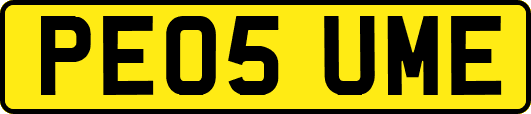 PE05UME