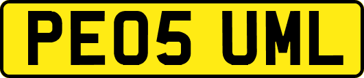 PE05UML